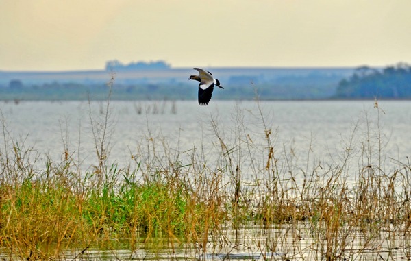 Se cumplen cinco años del ingreso de ITAIPU a la Red Mundial de Reservas de Biósfera de la UNESCO