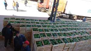 Diario HOY | Confiscaron más de nueve toneladas de locote verde en Itá Enramada