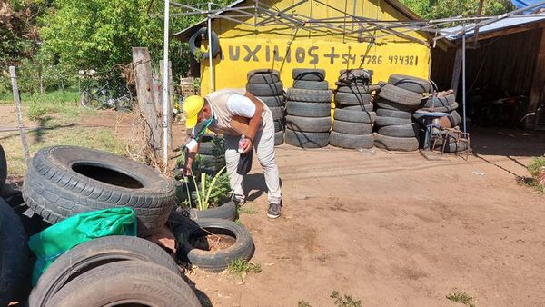 Aumentan los casos de dengue y chikunguña, alerta Vigilancia de la Salud - Nacionales - ABC Color