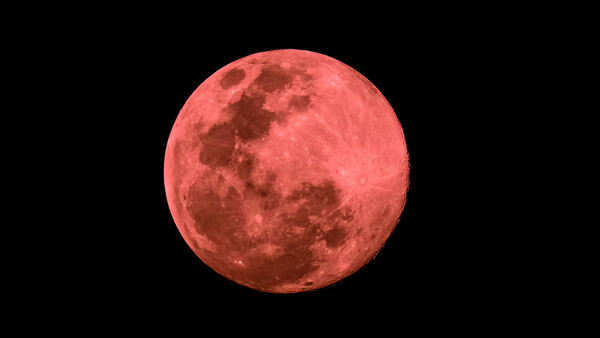 Diario HOY | La superluna de fresa ilumina el firmamento este martes: ¿qué es y cómo verla?
