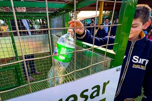Promueven el reciclado con el programa “Escuelas Verdes” - La Clave