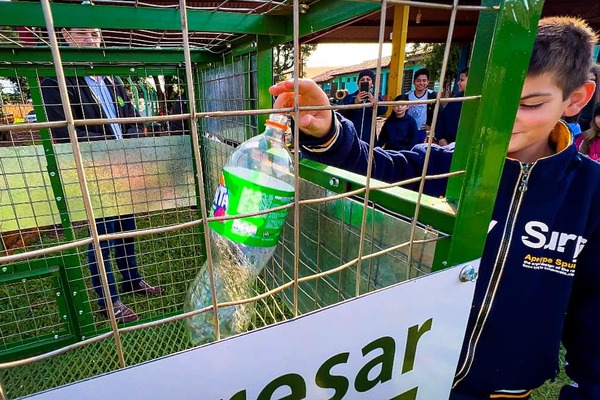 Promueven el reciclado con el programa “Escuelas Verdes” - La Clave