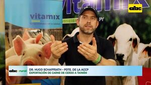 ABC RURAL: situación de la posible exportación de carne de cerdo a Taiwán - ABC Rural - ABC Color