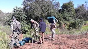 Incautan 321 kilos de cocaína en Fortuna Guazú que vino desde Bolivia