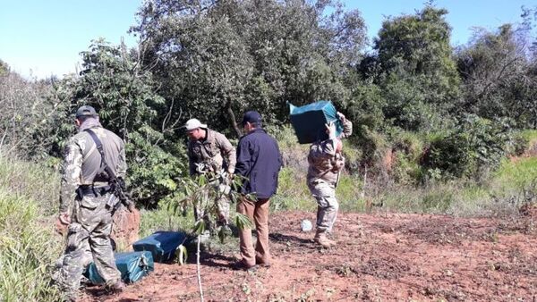 Incautan 321 kilos de cocaína en Fortuna Guazú que vino desde Bolivia