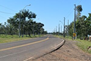 Piden prevenir accidente de tránsito por causa de animales sueltos - Nacionales - ABC Color
