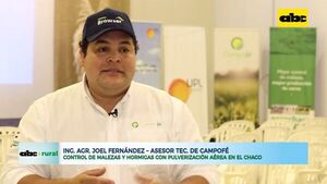 ABC Rural: control de malezas y hormigas con pulverización aérea en el Chaco - ABC Rural - ABC Color