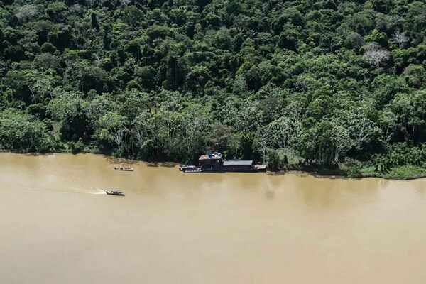 Hallaron «vísceras humanas» en búsqueda de los dos desaparecidos en Amazonía, según Bolsonaro