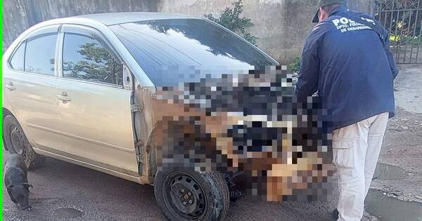 La Nación / Recuperan autos robados en Central: uno estaba en un desarmadero y el otro en Caazapá