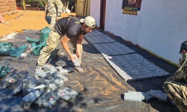 Senad incauta más de 300 kilos de cocaína y detienen a una mujer