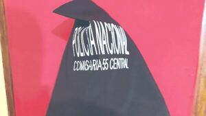 Pidió orden de alejamiento para vecina que quería robar su guinea