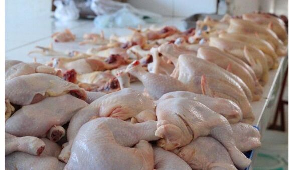 Ingresos por exportación de pollo también en alza a pesar de menor volumen enviado (Albania, el mayor comprador)