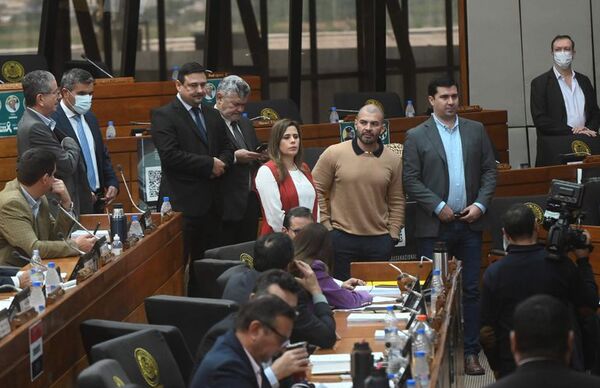 Diputados definirá veto a blanqueo de DD.JJ. falsas - Política - ABC Color