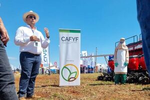 Cafyf y Parpov se unen a través de campaña - Economía - ABC Color