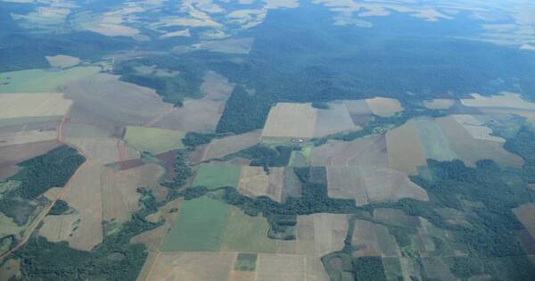 La Nación / Realizan allanamientos en simultáneo en Amambay contra red de sicarios