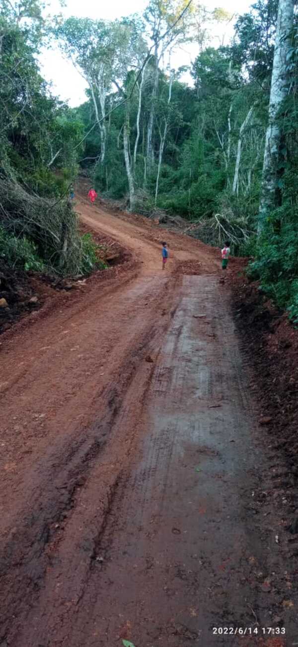 Contrabandistas y políticos abren camino del contrabando en reserva natural Moisés Bertoni - La Clave