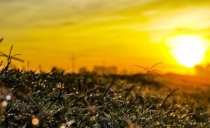 Aparición de primeras heladas, brindan recomendaciones para el campo