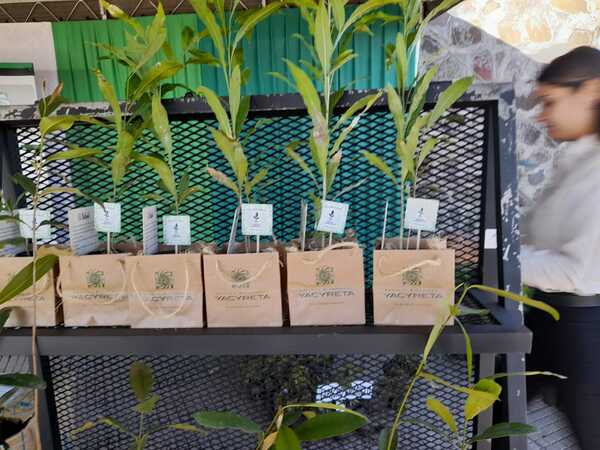 EBY entrega plantines nativos en conmemoración al Día del Árbol