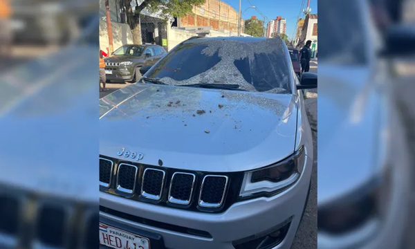 Le puso desechos de su gato a camioneta que estacionó frente a su garage - OviedoPress