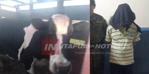 CAPATAZ DETENIDO TRAS RECUPERACIÓN DE LECHERA