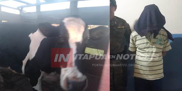 CAPATAZ DETENIDO TRAS RECUPERACIÓN DE LECHERA