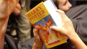 Editorial de Harry Potter reportó aumento en ganancias de 40% | Cultura y Espectáculos | 5Días
