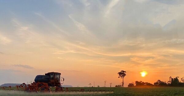 Mejores condiciones climáticas, anhelo de todo un sector | Agronegocios | 5Días