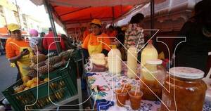 La Nación / San Juan Ára: productores agropecuarios preparan feria permanente frente al Indert