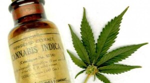 Diario HOY | Tribunal de Brasil autoriza a tres pacientes cultivar cannabis con fines medicinales