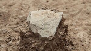 Hallan piedra de más de 17.000 años de antigüedad en Chile