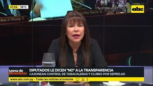 Santiago Peña debe explicar sobre los negocios de Horacio Cartes, dice diputada - Política - ABC Color