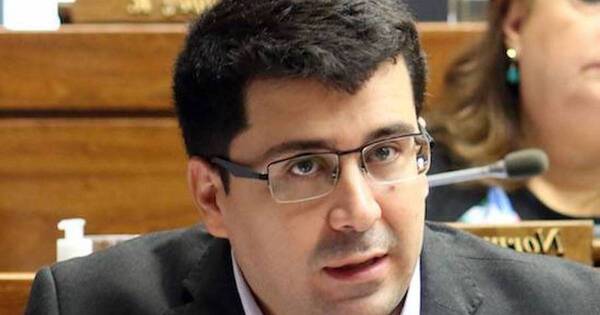 La Nación / Califican de ofensa a la democracia su anuncio
