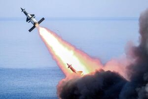 Alemania espera entregar sistemas de misiles a Ucrania entre julio y agosto - Mundo - ABC Color