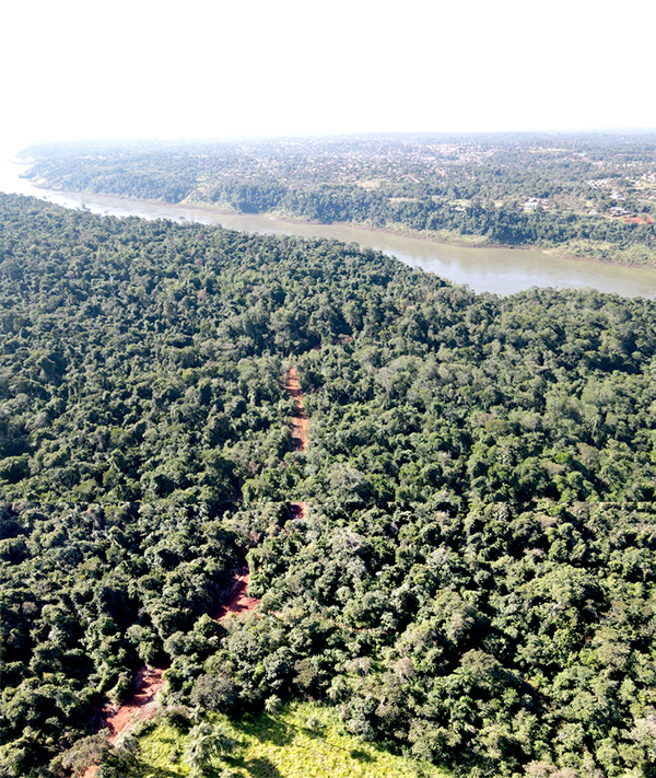 Contrabandistas y narcos abren camino de acceso al Paraná en plena reserva indígena - La Clave
