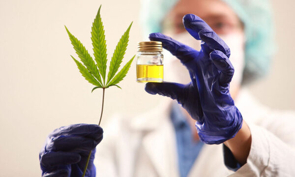 Tribunal de Brasil autoriza a tres pacientes cultivar cannabis con fines medicinales