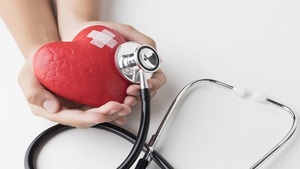 Quimfa impulsa jornadas cardiovasculares | Empresas | 5Días