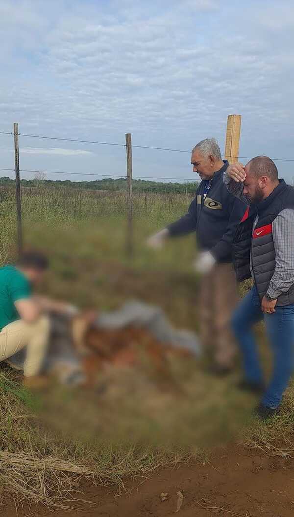 Matan cruelmente a dos pitbull en Encarnación