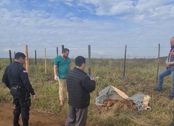 Crónica / Desalmados torturaron y mataron a dos perros y los tiraron en una alfombra