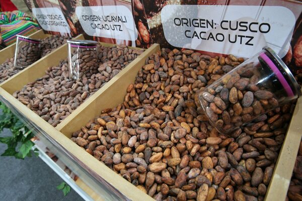 El Gobierno de Perú impulsará la producción y exportación de cacao - MarketData
