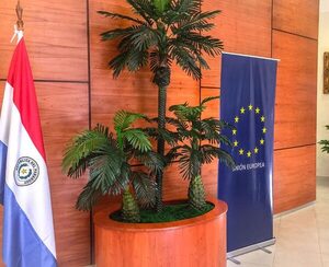 UE festejará sus tres décadas de amistad con Paraguay con 30 intervenciones artísticas en Asunción y Central - .::Agencia IP::.
