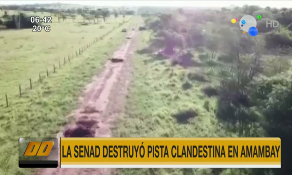 Senad destruyó pista clandestina en Amambay | Telefuturo