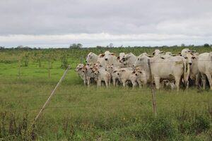 Hábitos amigables en la producción agropecuaria - El Independiente