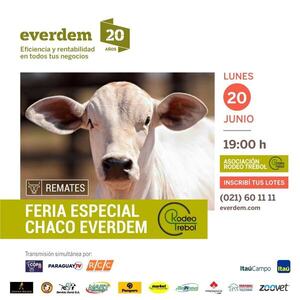 Feria Especial Chaco Everdem: Pre ofertas habilitadas para 2.500 cabezas 100% marca líquida y carimbo 2