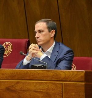 Patria Querida expresa su rechazo a la figura de Lugo - El Trueno