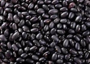 Productores de Concepción exportarán feijao a Brasil | Radio Regional 660 AM