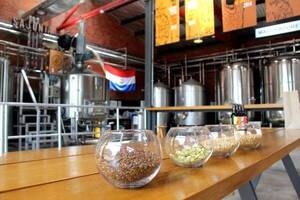 Diario HOY | Invitan a "La Ruta de la Cerveza Artesanal" por el Día del Padre