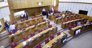 La Nación / Platean que senadores, diputados y concejales departamentales renuncien antes de las elecciones