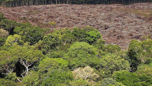 Ordenan arresto de tercer sospechoso en doble crimen en Amazonía