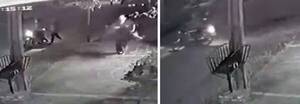 Crónica / [VIDEO] Gritos de una mujer hicieron correr a asaltantes
