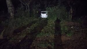 Conductor de plataforma de transporte fue víctima de robo
